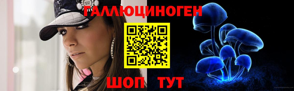 Пугачёв  Псилоцибиновые грибы мицелий  Вход с VPN  Псилоцибиновые грибы Magic Shrooms 